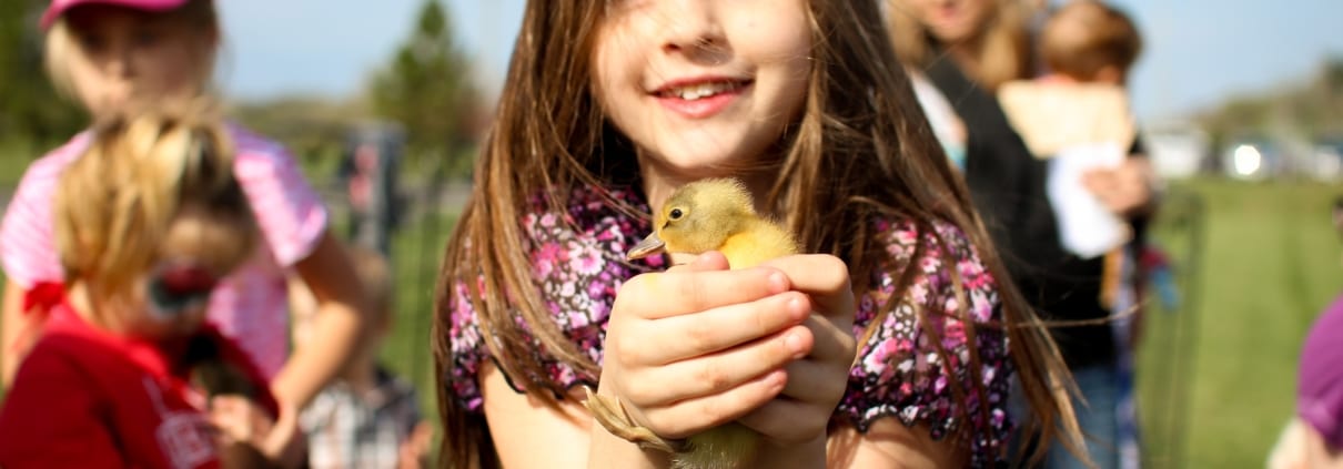 girl-with-baby-chicken