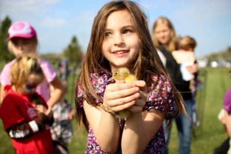 girl-with-baby-chicken